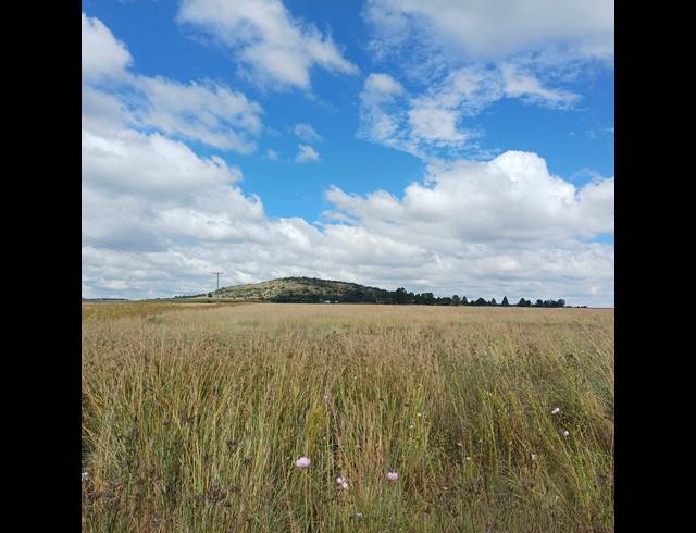 8.50HA VACANT LAND FOR SALE IN STERKFONTEIN AH